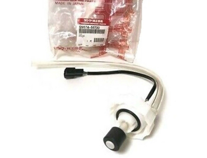 YANMAR Water in Fuel Sensor 12957455730 4JH3TE Bottom Line